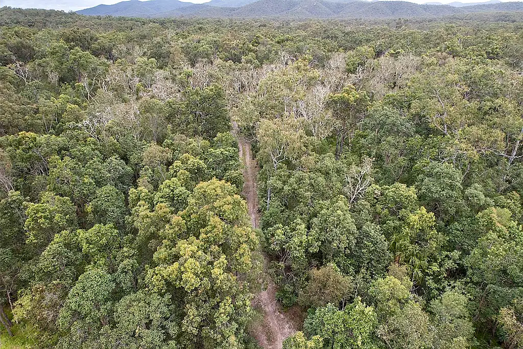 Main view of Homely land listing, 230 Avocado Crescent, Captain Creek QLD 4677