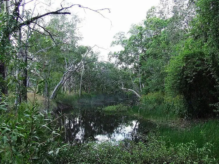 Fifth view of Homely land listing, 230 Avocado Crescent, Captain Creek QLD 4677