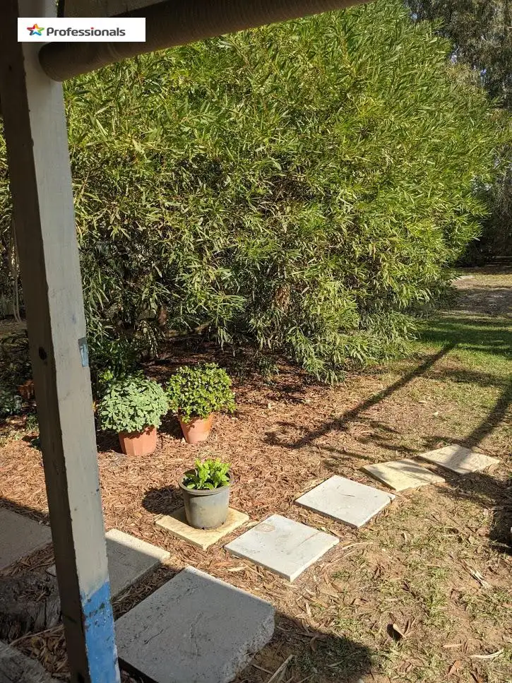 Fifth view of Homely house listing, 49 Congdon Avenue, Pinjarra WA 6208