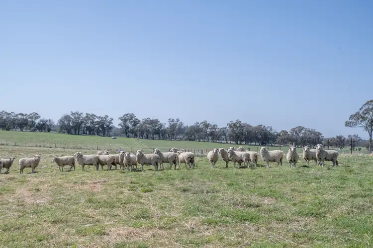 Fourth view of Homely land listing, Lot 1 Fanning Road, Mullion Creek NSW 2800