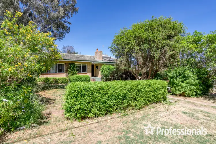 21 Peter Street, Kelmscott WA 6111