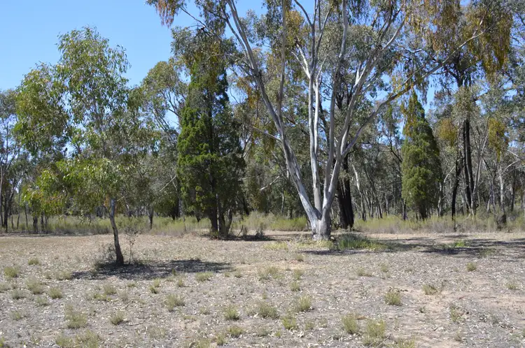 Fifth view of Homely rural property listing, 470 Yarrawonga Road, Mudgee NSW 2850