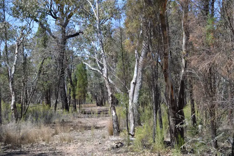 Seventh view of Homely rural property listing, 470 Yarrawonga Road, Mudgee NSW 2850