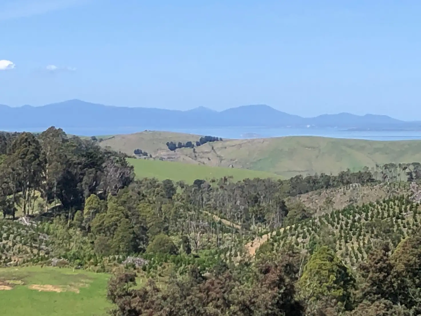 Main view of Homely rural property listing, 565 Wonga Square Top Rd, Wonga VIC 3960
