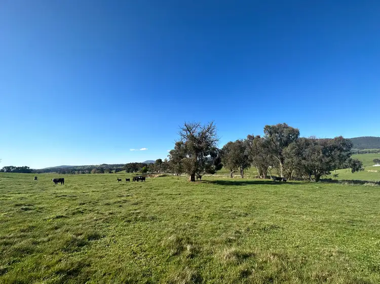 Seventh view of Homely rural property listing, 53 McClellands Lane, Tumbarumba NSW 2653