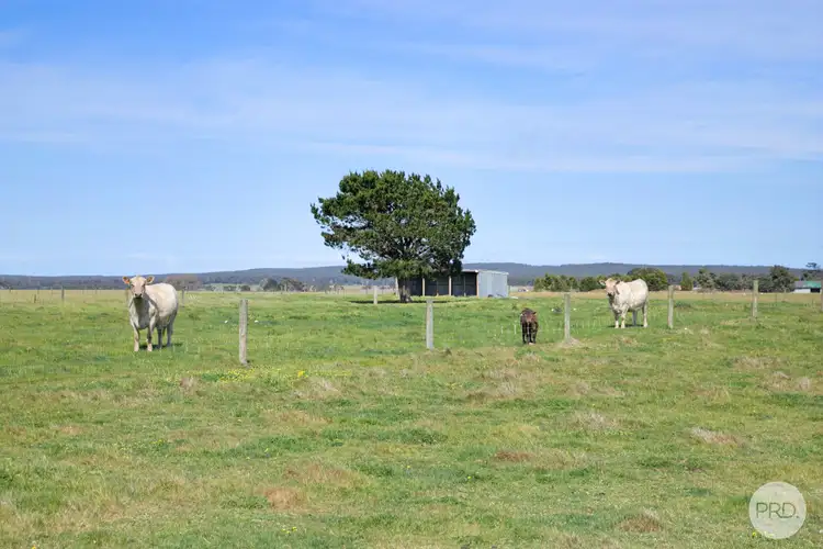 Fourth view of Homely house listing, 5025 Colac-Ballarat Road, Cambrian Hill VIC 3352