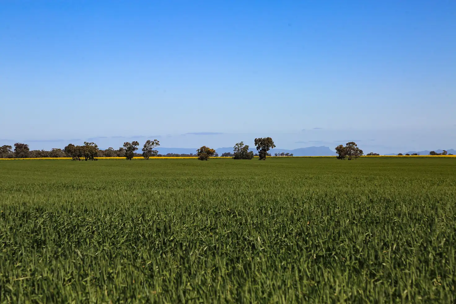 Main view of Homely rural property listing, 4848 Stawell-Warracknabeal Road, Rupanyup VIC 3388