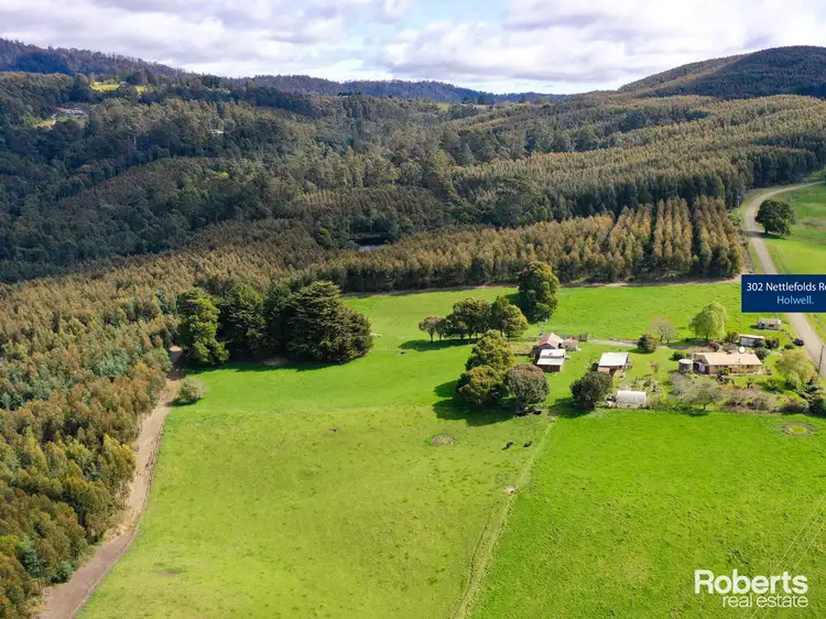 302 Nettlefolds Road, Holwell TAS 7275