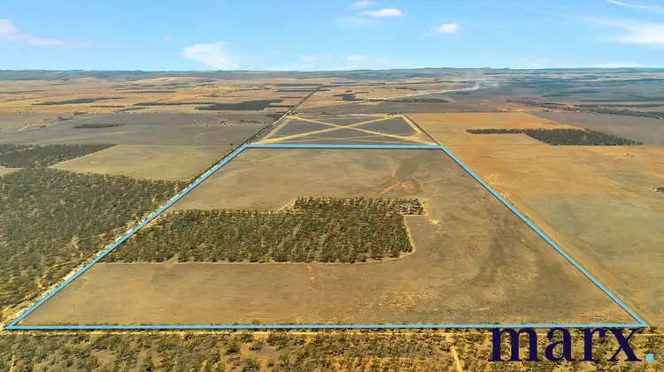 Second view of Homely land listing, Lot 251 Liebigs Road, Steinfeld SA 5356