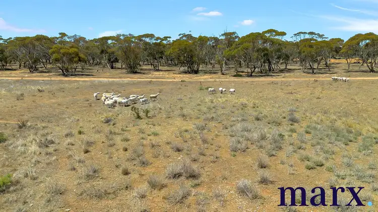 Fourth view of Homely land listing, Lot 251 Liebigs Road, Steinfeld SA 5356