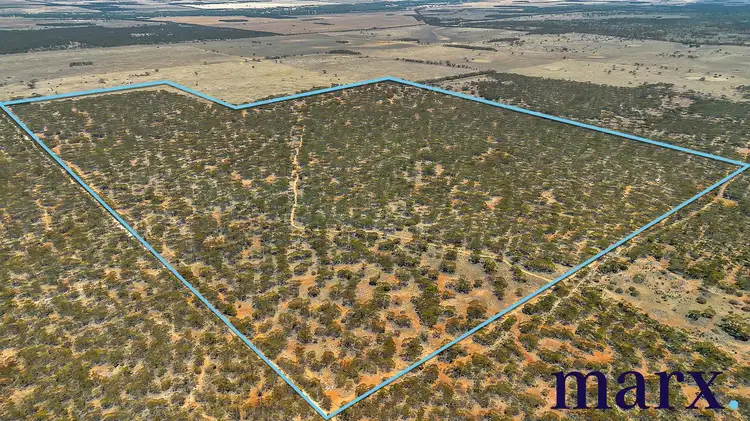 Lot 10 W.Falkenbergs Road, Sedan SA 5353