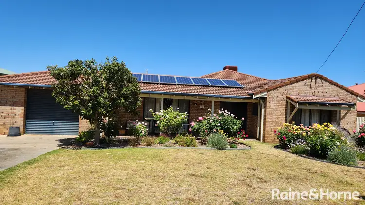 Second view of Homely house listing, 16 Vanzuilecom Street, Kojonup WA 6395