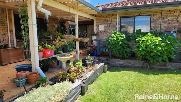 Third view of Homely house listing, 16 Vanzuilecom Street, Kojonup WA 6395