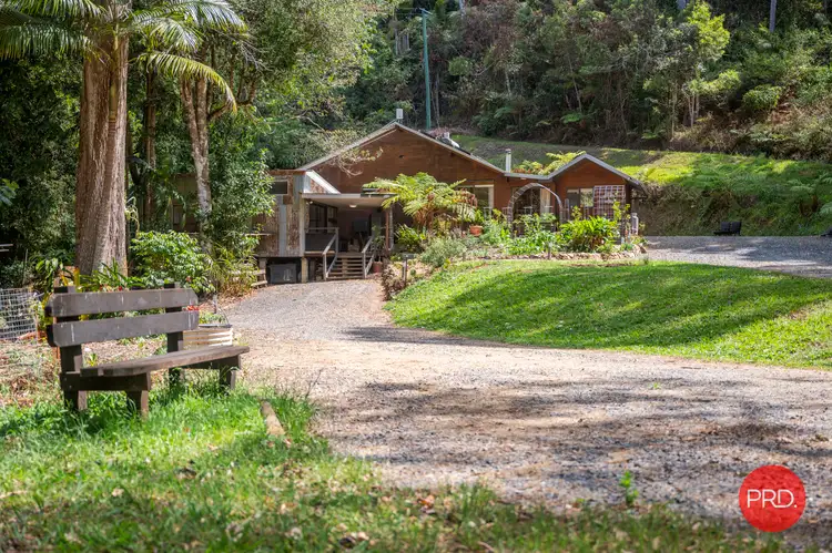 Main view of Homely house listing, 128G Friday Creek Road, Upper Orara NSW 2450