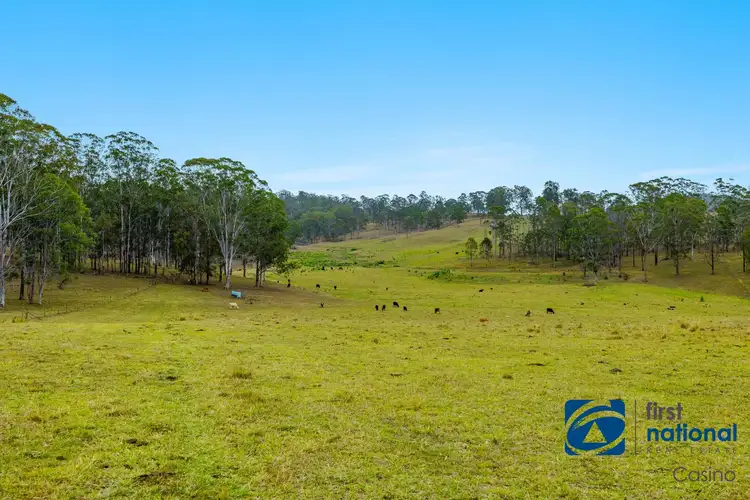 213 Dyraaba Road, Piora NSW 2470
