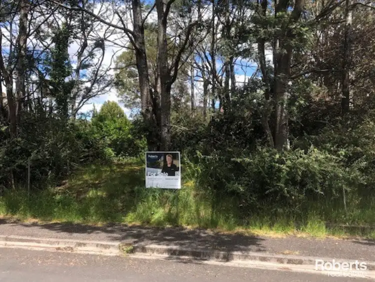 Third view of Homely land listing, 29 Baillieu Street, Rosebery TAS 7470