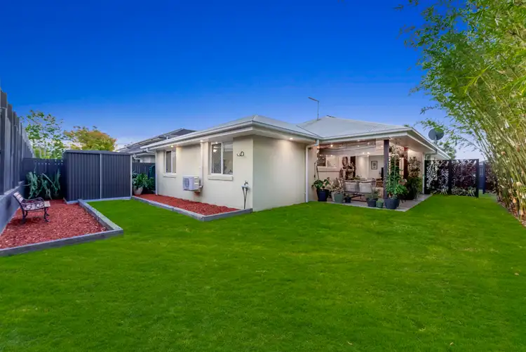 Second view of Homely house listing, 15 Pademelon Circuit, North Lakes QLD 4509