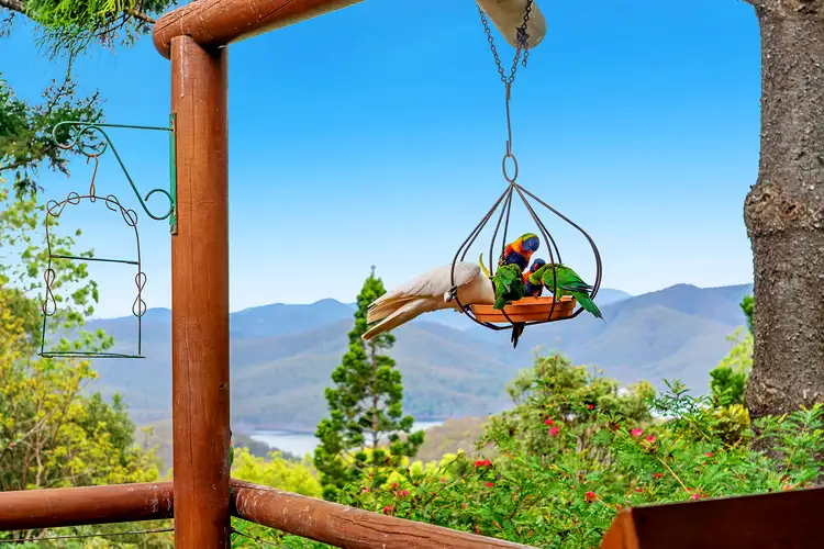 Third view of Homely house listing, 37 Tarlington Road, Lower Beechmont QLD 4211