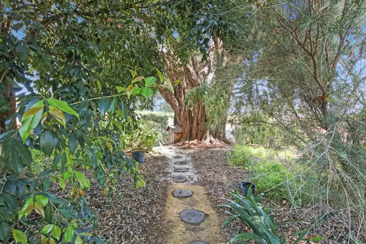 Fifth view of Homely other listing, 18 Rex Andrew Road, Golden Heights SA 5322