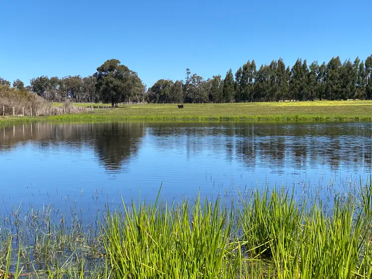 Main view of Homely rural property listing, 526 Ralston Road (Dixvale), Manjimup WA 6258