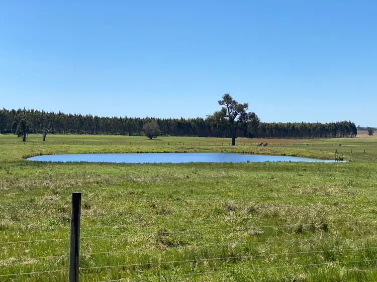 Fourth view of Homely rural property listing, 526 Ralston Road (Dixvale), Manjimup WA 6258
