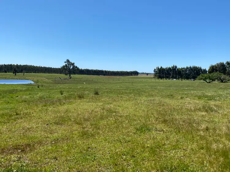 Fifth view of Homely rural property listing, 526 Ralston Road (Dixvale), Manjimup WA 6258