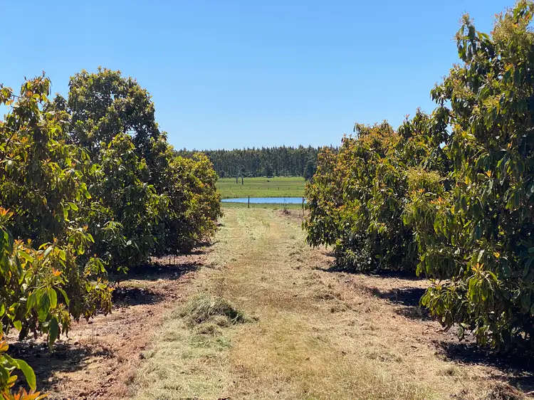 Sixth view of Homely rural property listing, 526 Ralston Road (Dixvale), Manjimup WA 6258