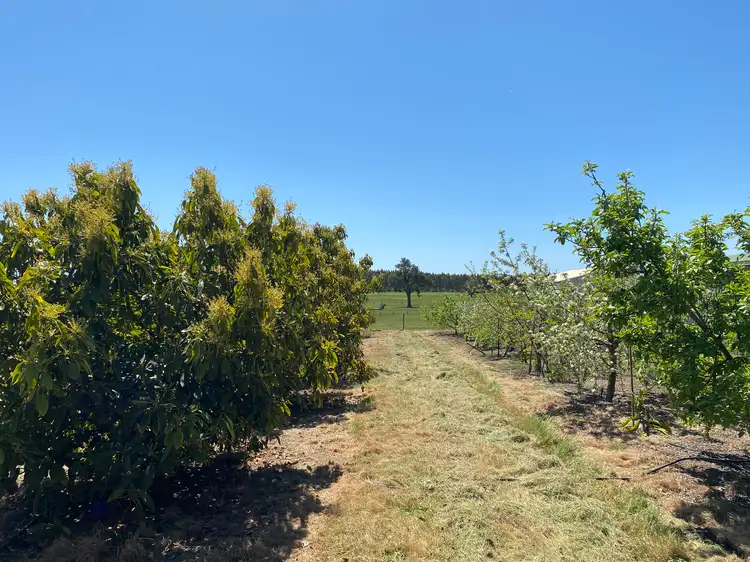 Seventh view of Homely rural property listing, 526 Ralston Road (Dixvale), Manjimup WA 6258