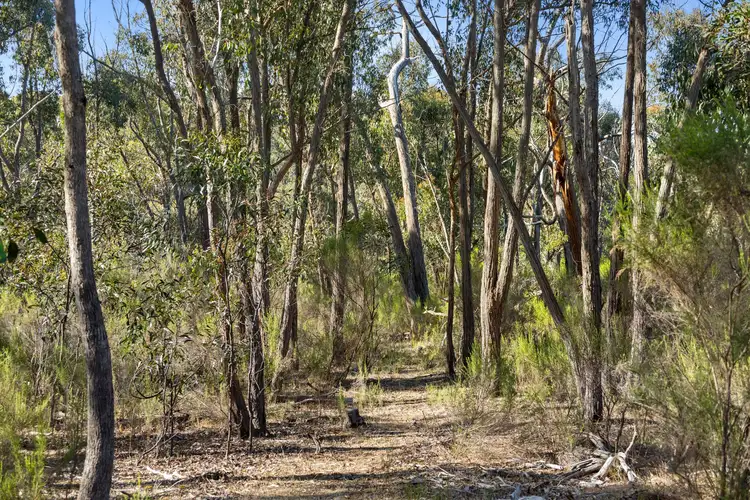 Fourth view of Homely land listing, LOT 3B Helge Track, Glenluce VIC 3451