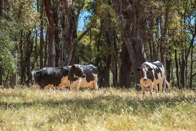 Fourth view of Homely rural property listing, Lot 2 Chapman Hill Road, Chapman Hill WA 6280