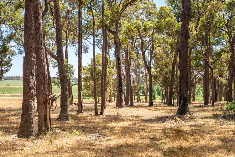 Fifth view of Homely rural property listing, Lot 2 Chapman Hill Road, Chapman Hill WA 6280