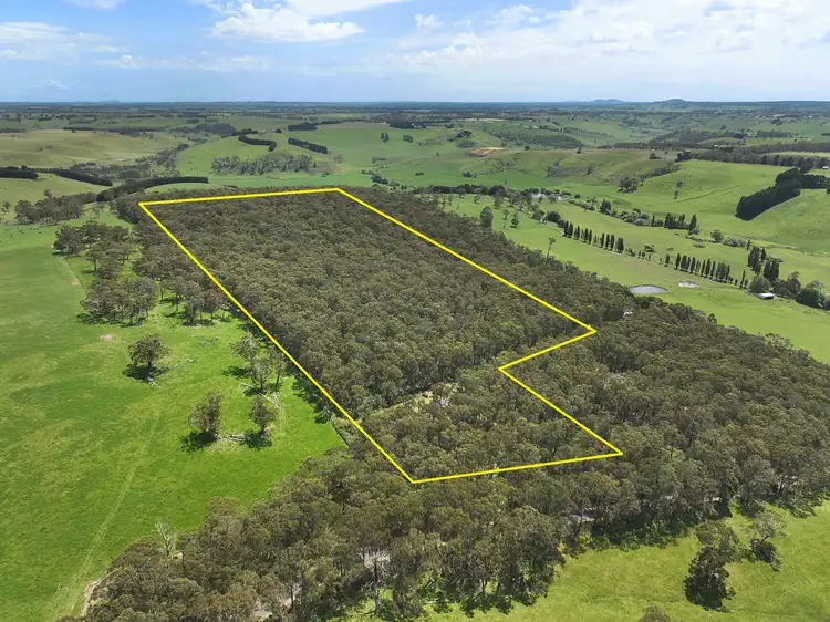 Third view of Homely rural property listing, 390 Old Port Campbell Road, Jancourt East VIC 3266
