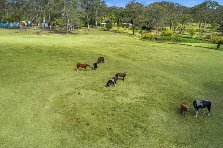 Fifth view of Homely rural property listing, 162 Stahls Road, Oakville NSW 2765