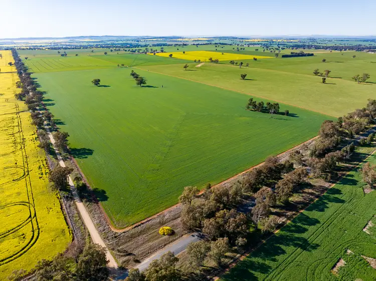 Main view of Homely rural property listing, 'Part Talavera' Marrar Road, Downside NSW 2650