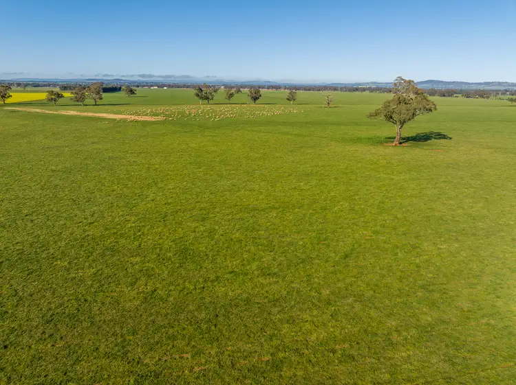 Third view of Homely rural property listing, 'Part Talavera' Marrar Road, Downside NSW 2650