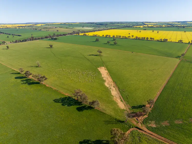 Fourth view of Homely rural property listing, 'Part Talavera' Marrar Road, Downside NSW 2650