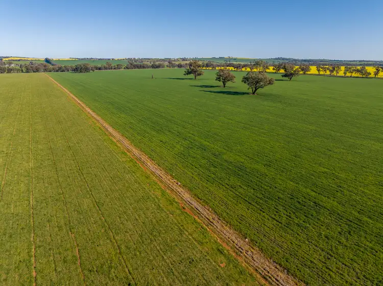 Fifth view of Homely rural property listing, 'Part Talavera' Marrar Road, Downside NSW 2650