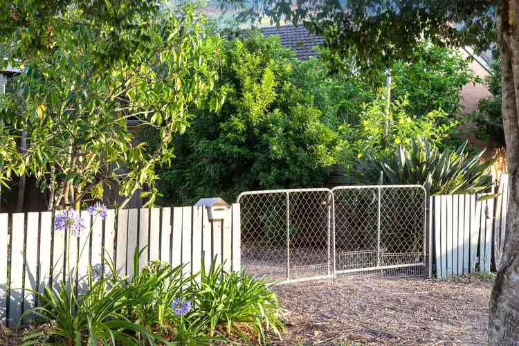 Third view of Homely house listing, 105 Maple Street, Cooroy QLD 4563
