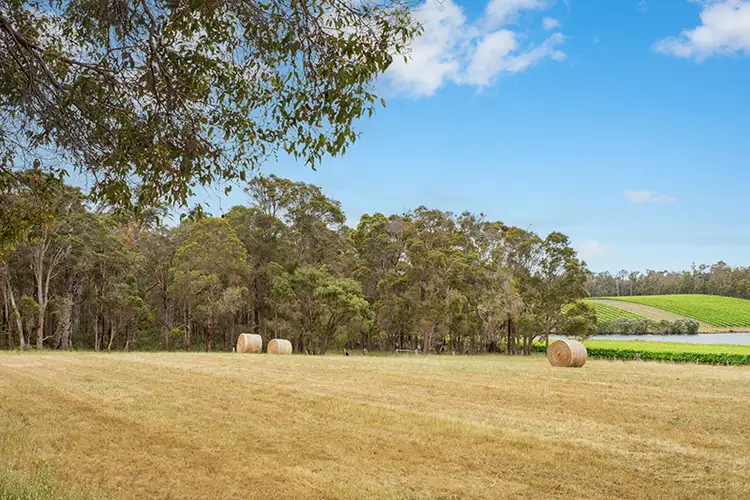 Sixth view of Homely rural property listing, 504 Metricup Road, Wilyabrup WA 6280