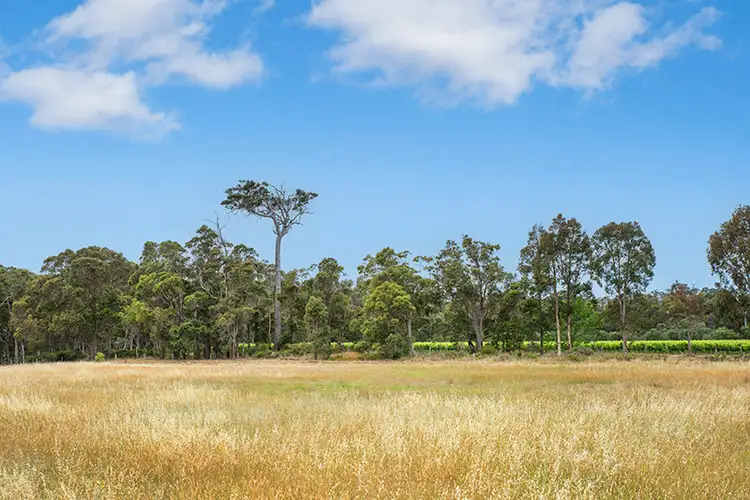 Seventh view of Homely rural property listing, 504 Metricup Road, Wilyabrup WA 6280