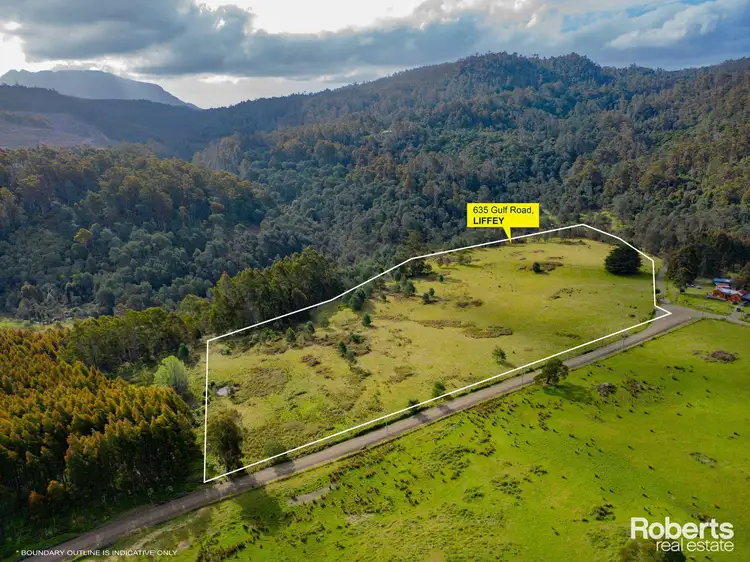 Main view of Homely rural property listing, 635 Gulf Road, Liffey TAS 7301