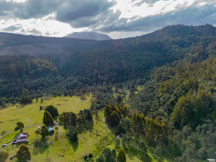Third view of Homely rural property listing, 635 Gulf Road, Liffey TAS 7301