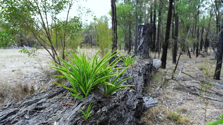 1816 Upper Humbug Road