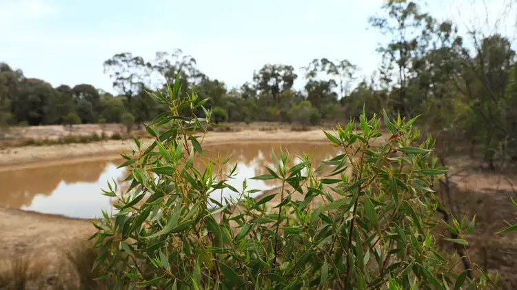 Third view of Homely rural property listing, 1816 Upper Humbug Road, Tara QLD 4421
