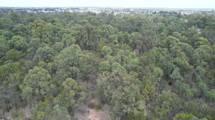 Seventh view of Homely rural property listing, 1816 Upper Humbug Road, Tara QLD 4421