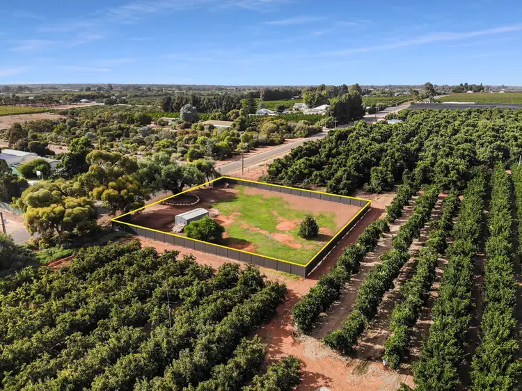 Main view of Homely land listing, 64 Tarcoola Street, Renmark SA 5341