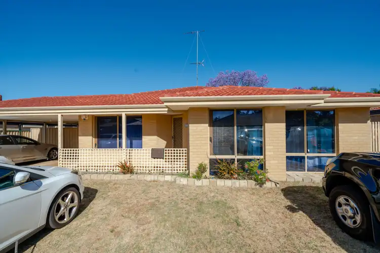 Second view of Homely house listing, 16 Donkey Orchid Turn, Greenfields WA 6210