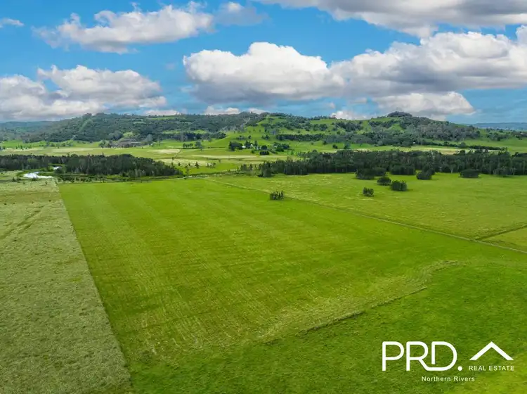 Fifth view of Homely rural property listing, 1015 Bruxner Highway, Mckees Hill NSW 2480