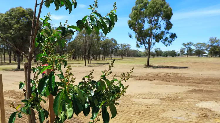 Third view of Homely land listing, LOT 50 Jacob Drive (Warner Rise Estate), Warwick QLD 4370