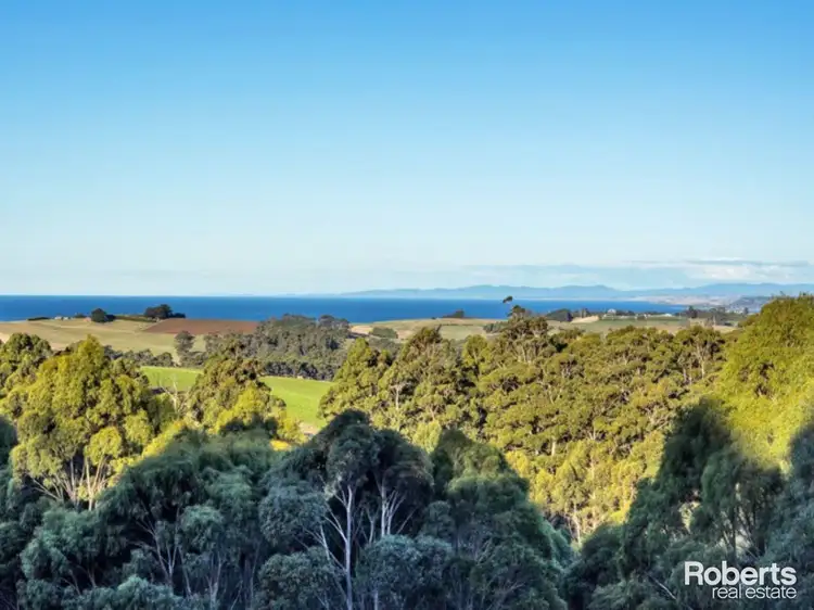 92 White Hills Road, Penguin TAS 7316